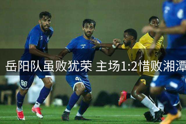 岳阳队虽败犹荣 主场1:2惜败湘潭引爆球迷热情