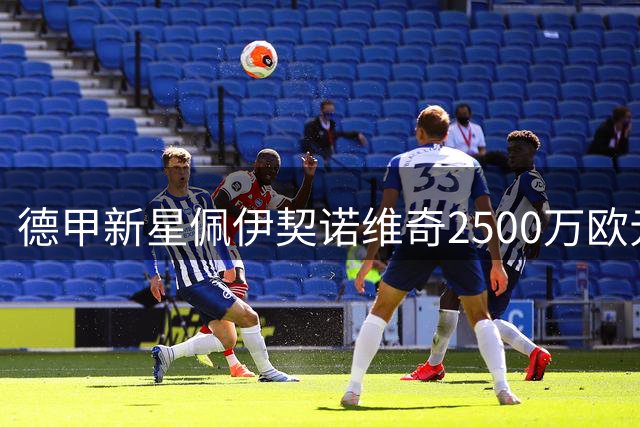 德甲新星佩伊契诺维奇2500万欧元加盟斯图加特