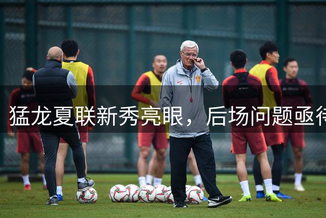 猛龙夏联新秀亮眼，后场问题亟待解决