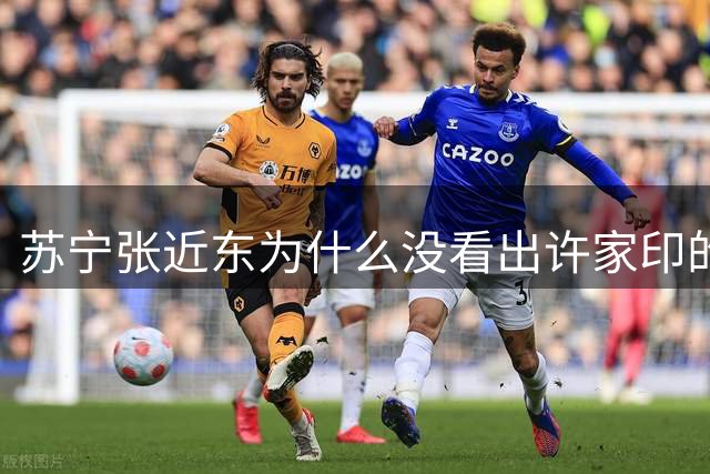 苏宁张近东为什么没看出许家印的“庞氏骗局”，向恒大输血200亿