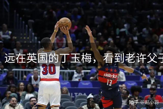 远在英国的丁玉梅，看到老许父子三人被宣判的消息，她是什么感受
