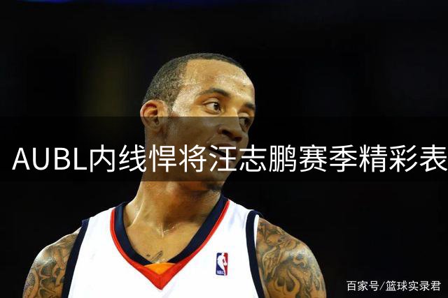 AUBL内线悍将汪志鹏赛季精彩表现回顾